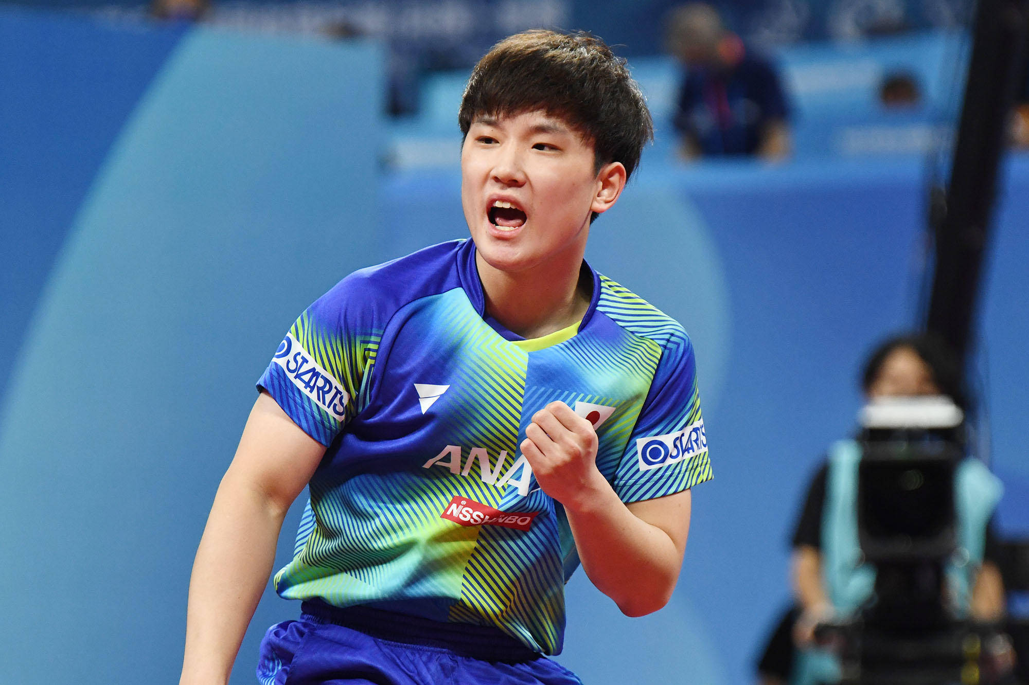 水晶宫防线 水晶宫防线